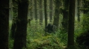 the100_106_1014.jpg