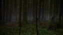 the100_106_1112.jpg