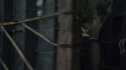 the100_106_1415.jpg