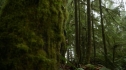 the100_111_0158.jpg