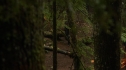 the100_111_0186.jpg
