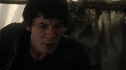 the100_111_0430.jpg