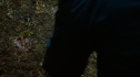 the100_111_0562.jpg