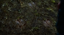 the100_111_0563.jpg