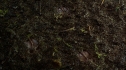 the100_111_0577.jpg