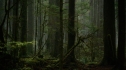the100_111_0585.jpg