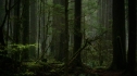 the100_111_0586.jpg