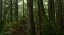 the100_111_0588.jpg