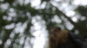 the100_111_0597.jpg