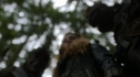 the100_111_0600.jpg