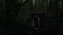 the100_111_0654.jpg