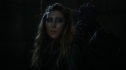 the100_111_0853.jpg