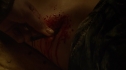 the100_111_1037.jpg