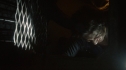 the100_111_1365.jpg