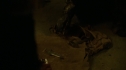 the100_111_1406.jpg
