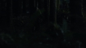 the100_111_1479.jpg