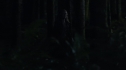 the100_111_1480.jpg