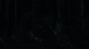 the100_111_1489.jpg