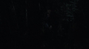 the100_111_1493.jpg
