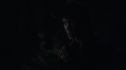 the100_111_1494.jpg