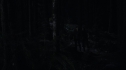 the100_111_1502.jpg