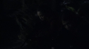 the100_111_1513.jpg