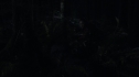 the100_111_1516.jpg