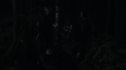 the100_111_1541.jpg