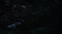 the100_111_1546.jpg