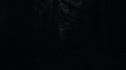 the100_111_1550.jpg
