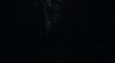 the100_111_1551.jpg