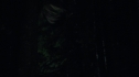 the100_111_1553.jpg