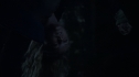 the100_111_1554.jpg