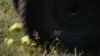 tumblr_o1f69arKPu1qhvb9t_480_0823.jpg