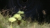 tumblr_o1f69arKPu1qhvb9t_480_0835.jpg