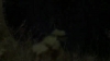 tumblr_o1f69arKPu1qhvb9t_480_0851.jpg