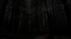 tumblr_o1f69arKPu1qhvb9t_480_1779.jpg
