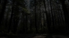 tumblr_o1f69arKPu1qhvb9t_480_1780.jpg