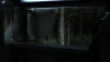 tumblr_o1f69arKPu1qhvb9t_480_4524.jpg
