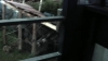tumblr_o1f69arKPu1qhvb9t_480_4549.jpg