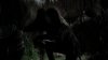 tumblr_o1f69arKPu1qhvb9t_480_5190.jpg
