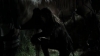 tumblr_o1f69arKPu1qhvb9t_480_5202.jpg
