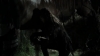 tumblr_o1f69arKPu1qhvb9t_480_5208.jpg