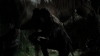 tumblr_o1f69arKPu1qhvb9t_480_5209.jpg