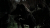 tumblr_o1f69arKPu1qhvb9t_480_5210.jpg