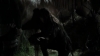 tumblr_o1f69arKPu1qhvb9t_480_5212.jpg