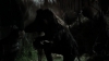 tumblr_o1f69arKPu1qhvb9t_480_5217.jpg