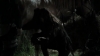 tumblr_o1f69arKPu1qhvb9t_480_5221.jpg