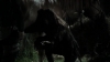 tumblr_o1f69arKPu1qhvb9t_480_5222.jpg