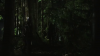 vlcsnap-2015-10-30-16h09m22s941.png